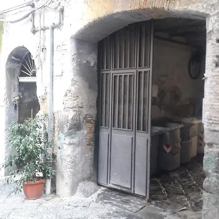 La Vinaccia Casa Vacanze