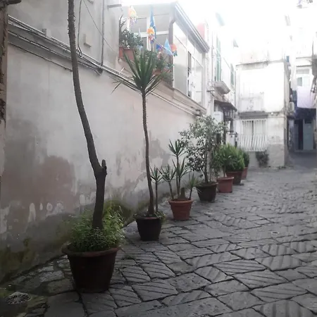 La Vinaccia Casa Vacanze *